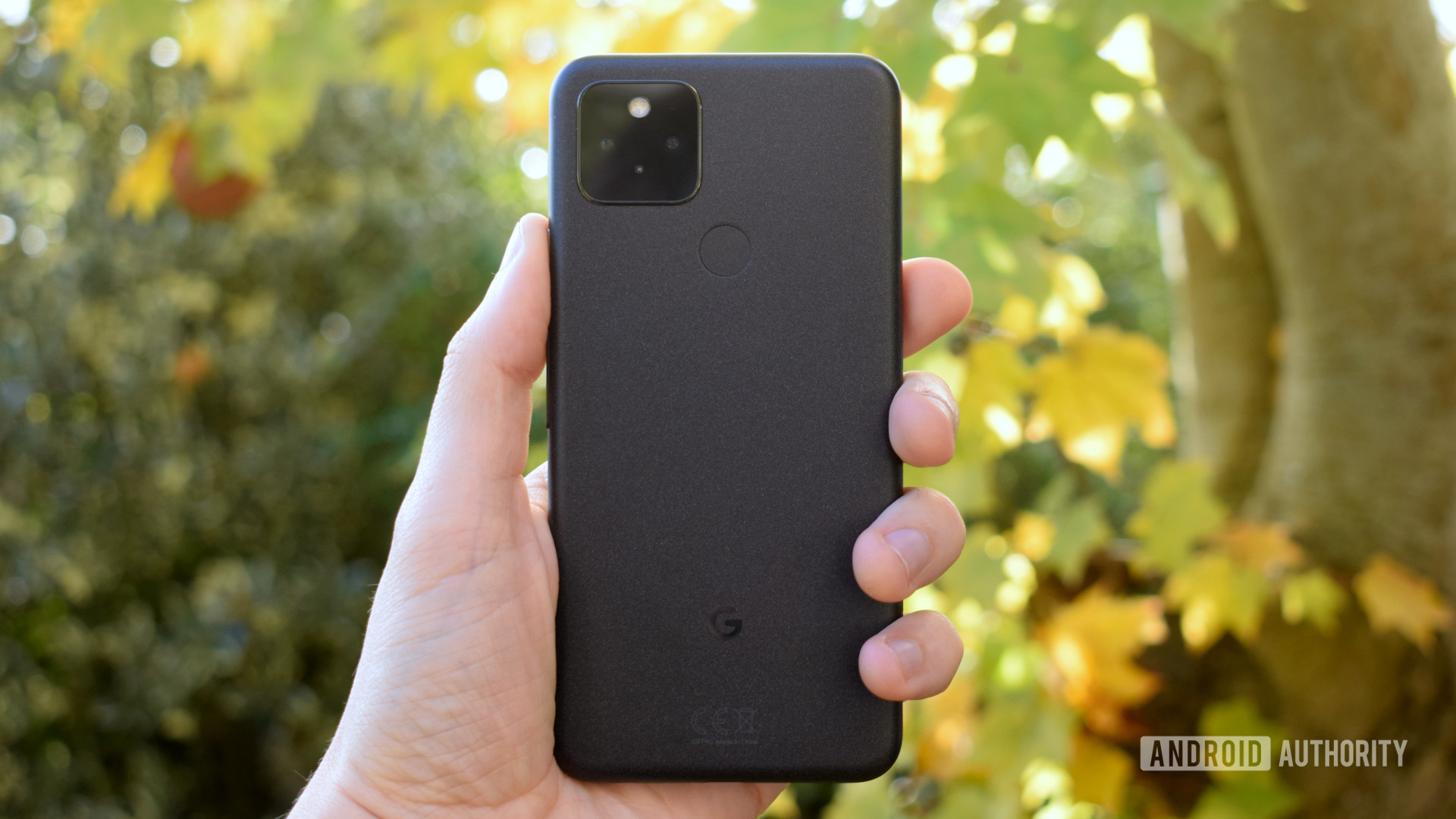 Google Pixel 5 in hand