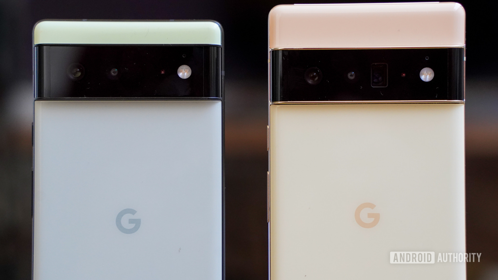 Google Pixel 6 and Pixel 6 Pro Camera Closeup