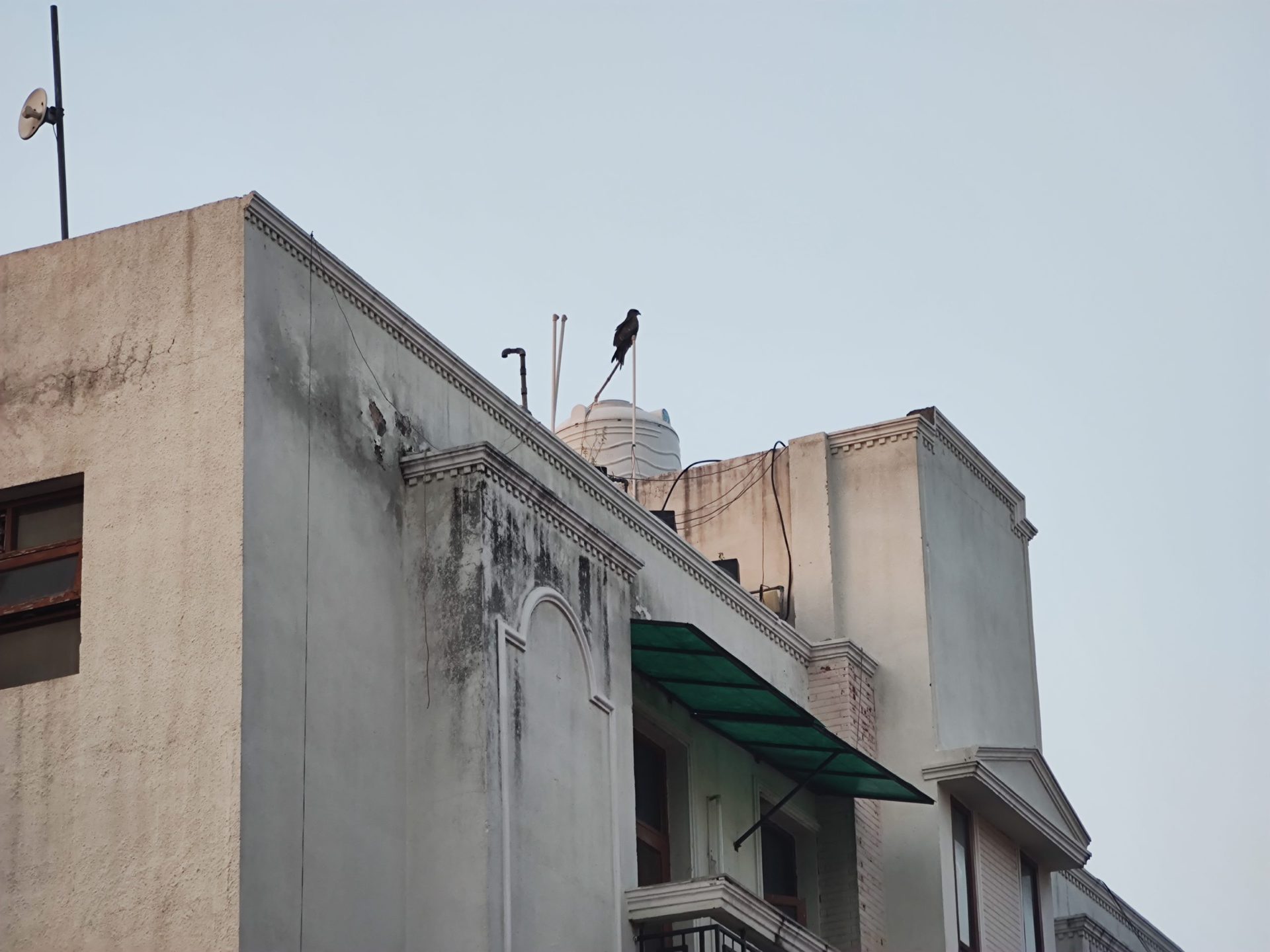 Moto Edge 20 pro 5 zoom shot of buildings and a bird on the roof