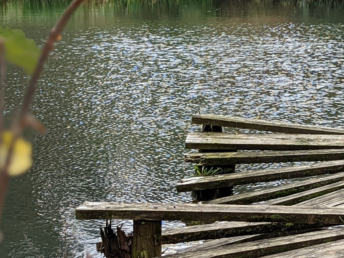 Camera Sample Pixel 6 Pro Detail Issue 1 showing a wooden dock and water.
