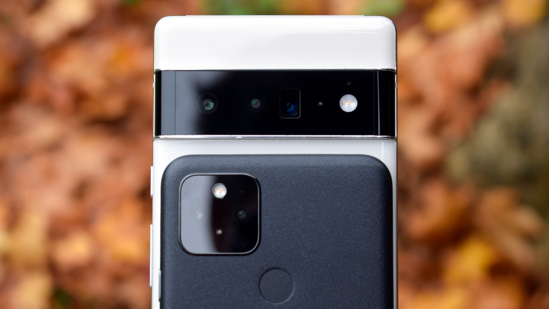 Google Pixel 6 Pro vs Google Pixel 5 camera
