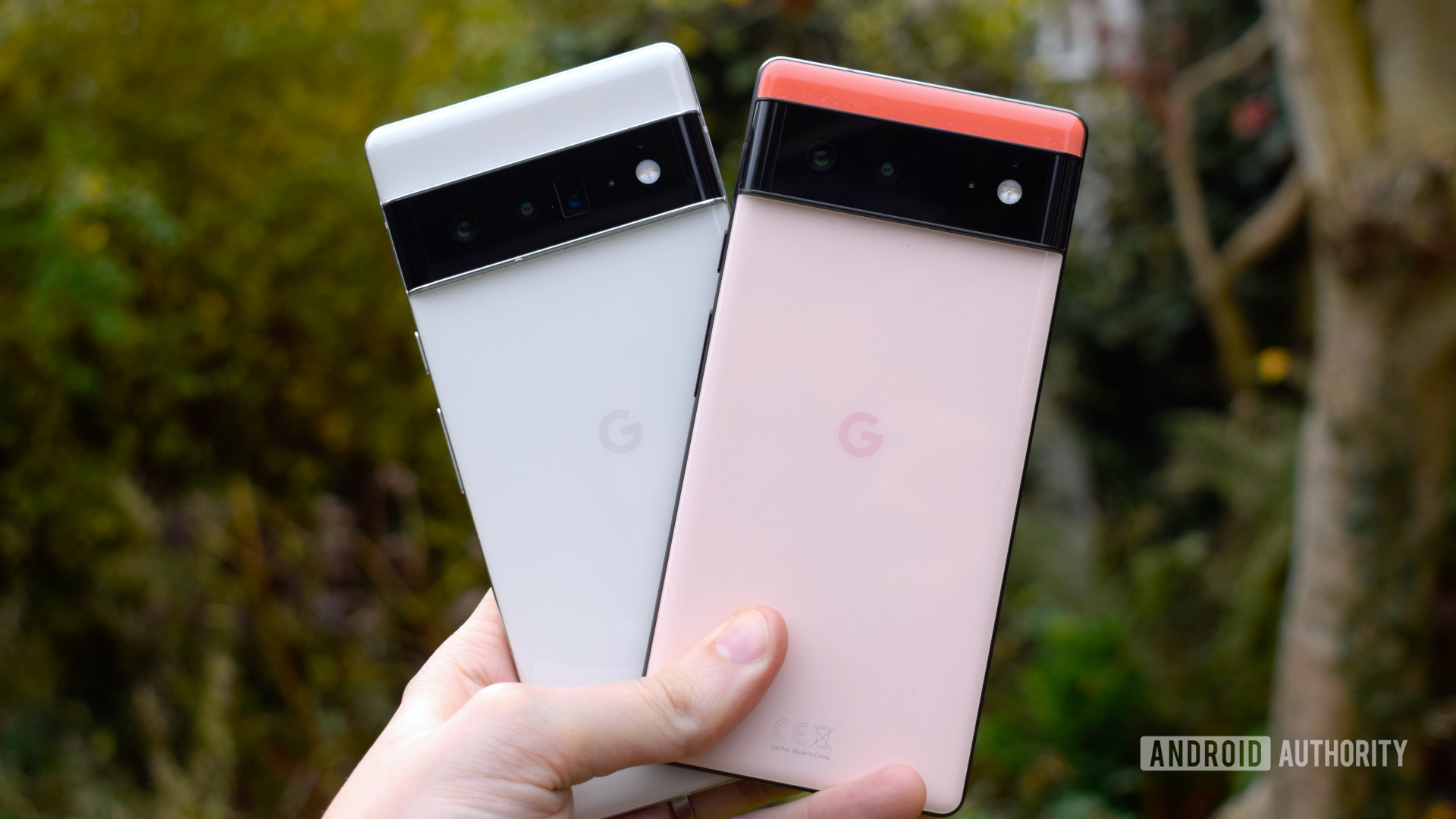 Google Pixel 6 and Pixel 6 Pro backs in hand