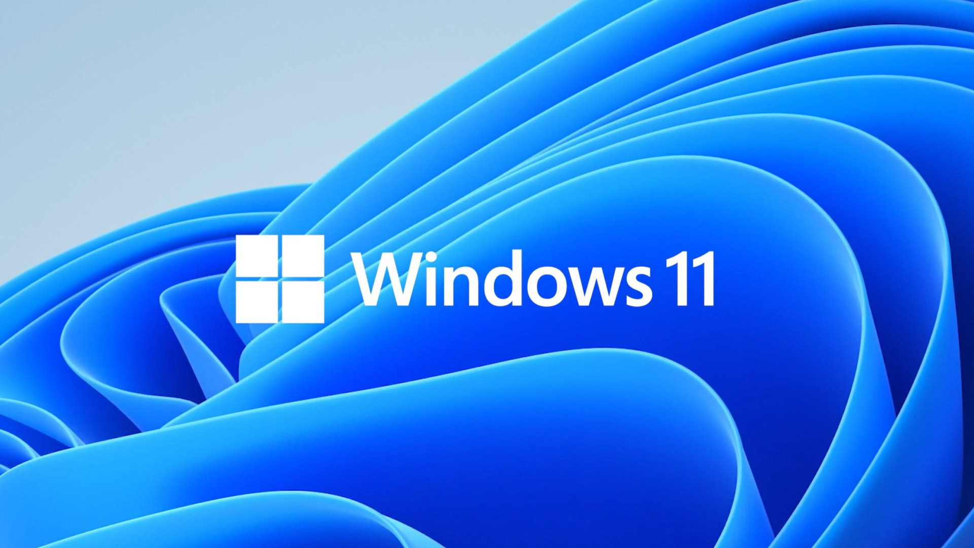Image du logo Windows 11