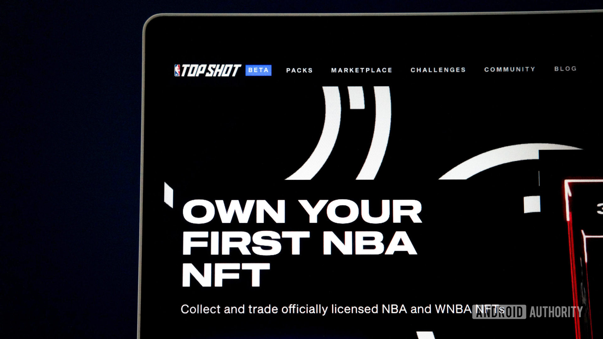 NBA's top shot nft website