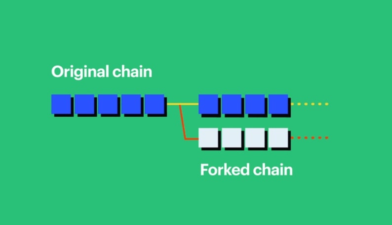 Cryptocurrency blockchain fork visualization