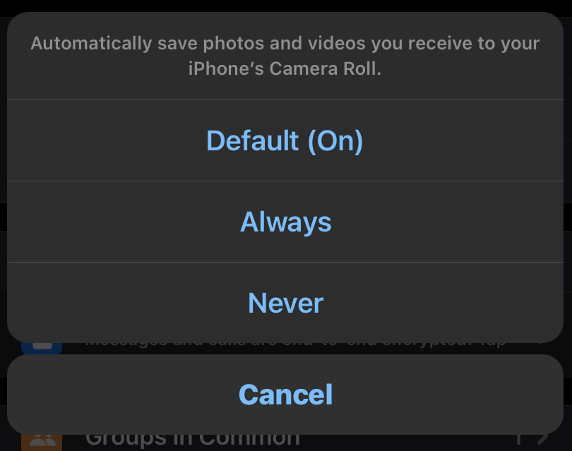 options for whatsapp mobile camera roll