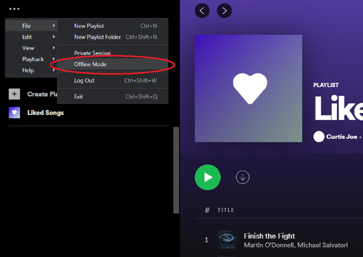 Spotify screenshot offline mode access