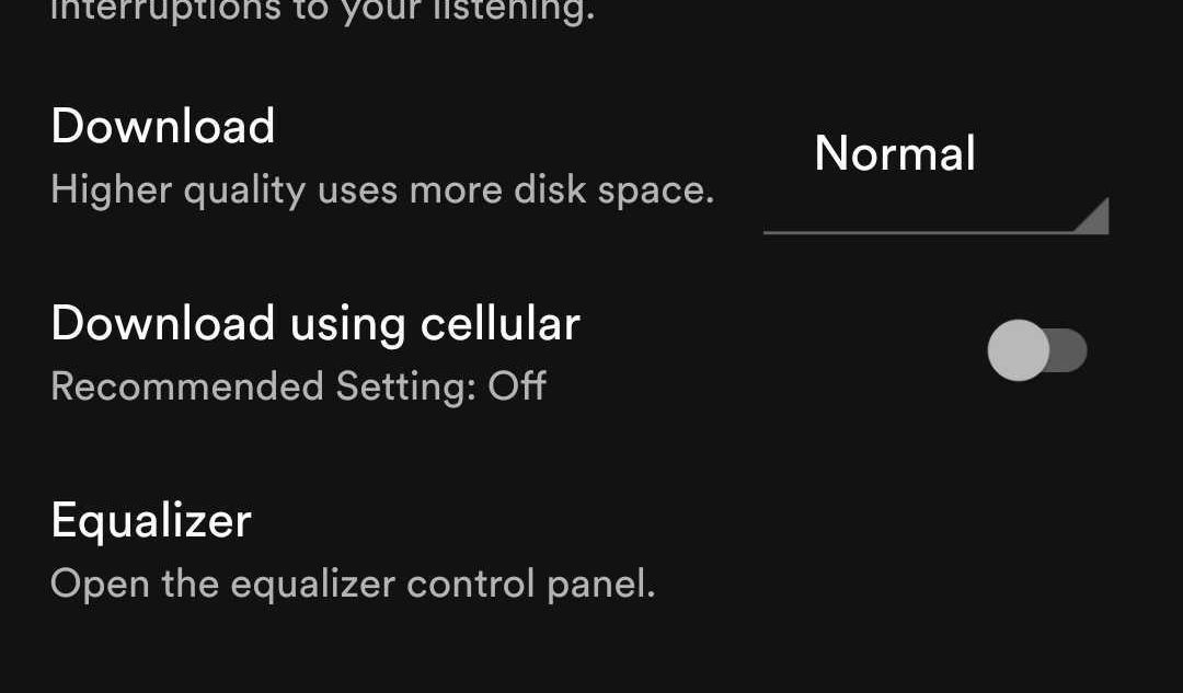 appearance of equalizer option in Spotify
