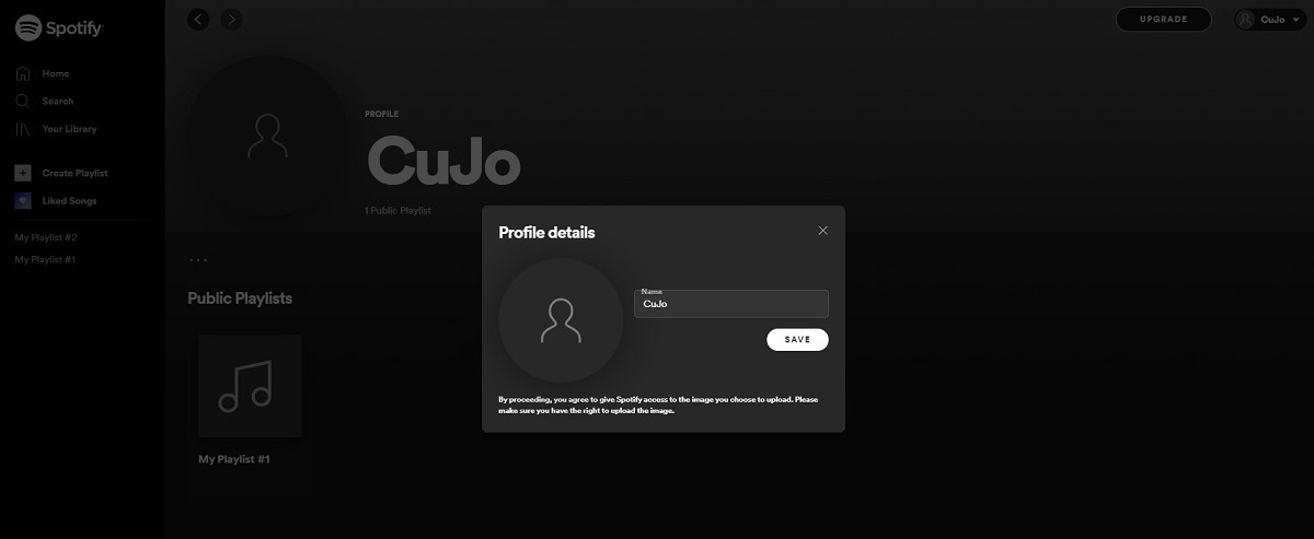 display name spotify what it looks like