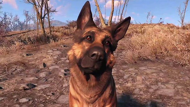Fallout 4 chien