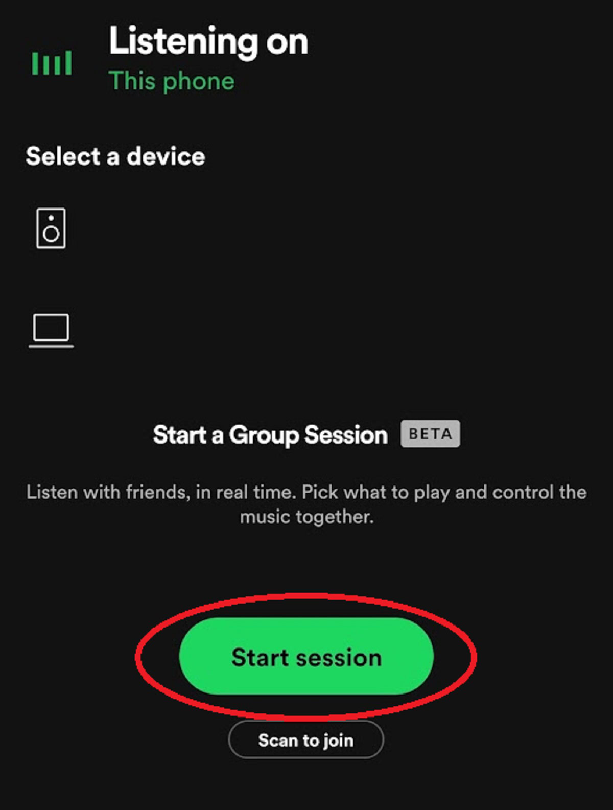 sessione di gruppo spotify screenshot 2
