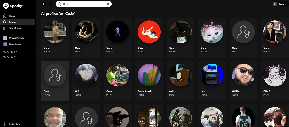 search results for display names on spotify