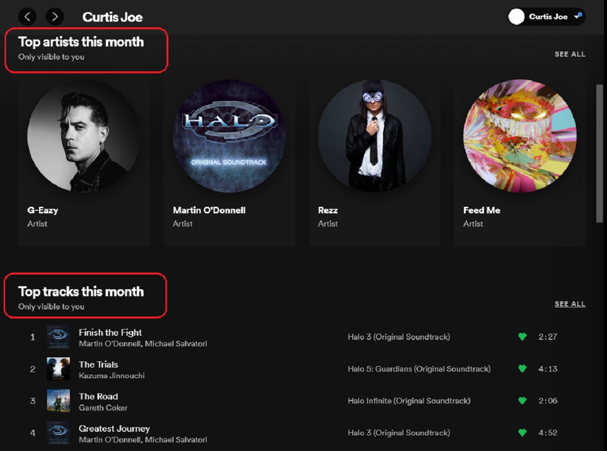 top artists and top tracks of the month on spotify profile