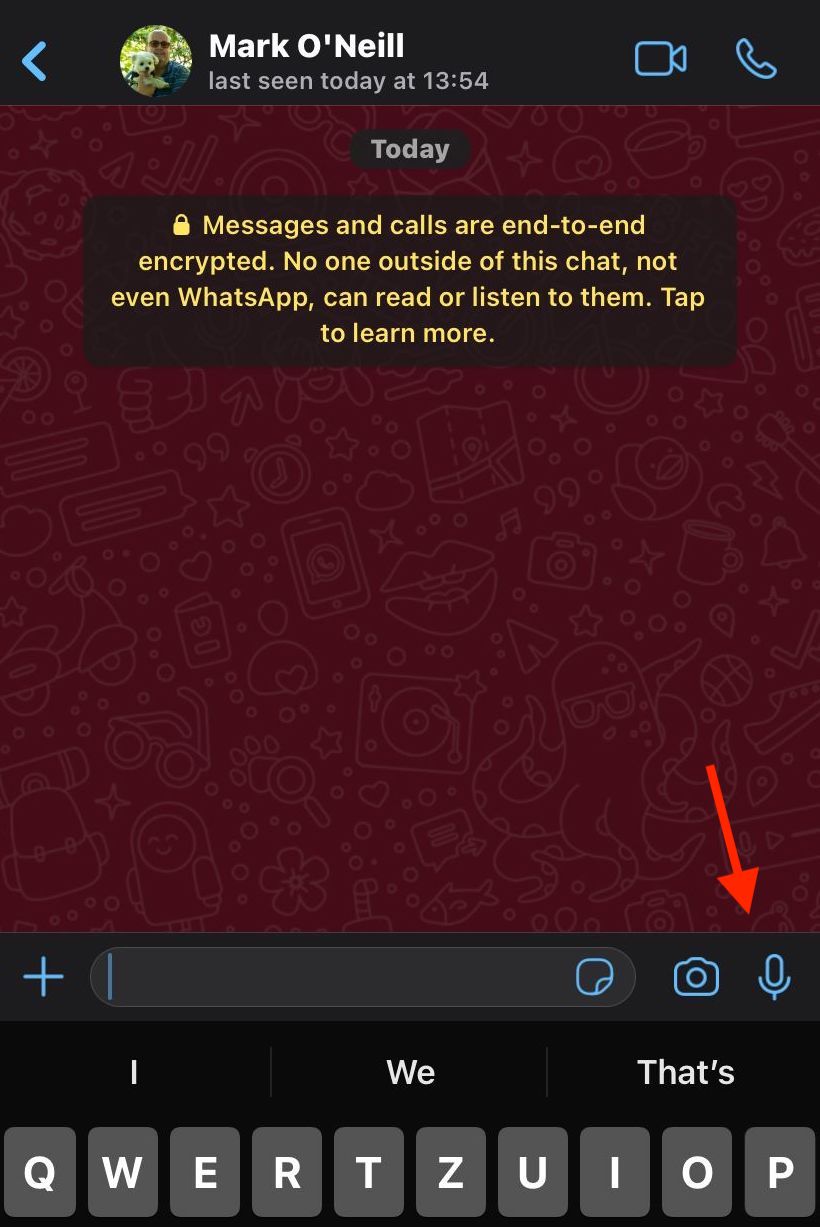 icône de messages vocaux whatsapp ios
